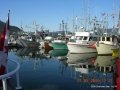 Cowichan Bay 09 009