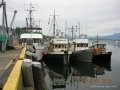 Cowichan Bay 09 011