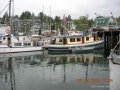 Cowichan Bay 09 026