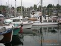 Cowichan Bay 09 027