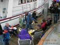 Cowichan Bay 09 028