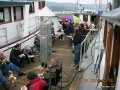 Cowichan Bay 09 029