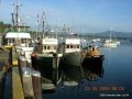 Cowichan Bay 09 031