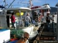 Cowichan Bay 09 033