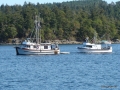 DSC05015