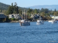 DSC05049