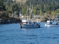 DSC05052