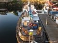 IMG_0556
