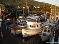 IMG_0557