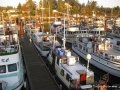 IMG_0559