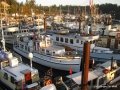 IMG_0560