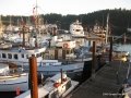 IMG_0561