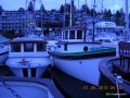 Cowichan 001
