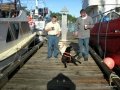 Cowichan 004