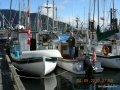 Cowichan 010