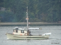 DSC07998