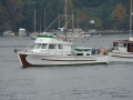 DSC08000