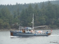 DSC08019