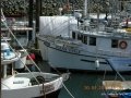 CowBay 11 005
