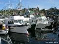 CowBay 11 010