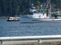 P1000716