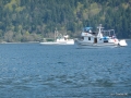 P1000726