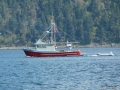 P1000729