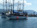 P1000730
