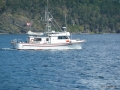 P1000741
