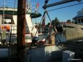 Ganges2011 002