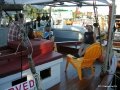 Ganges2011 004