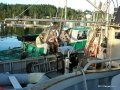 Ganges2011 005