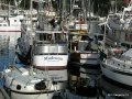 Ganges2011 019