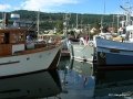 Ganges2011 022