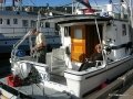 Ganges2011 023
