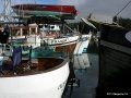Ganges2011 024