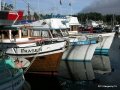 Ganges2011 025