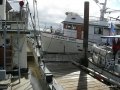 Ganges2011 028