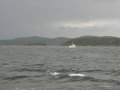 Ganges2011 041