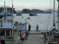 i1020598