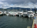 DSCN2558