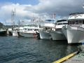DSCN2560