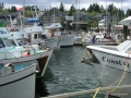 DSCN2578