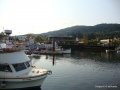 DSC02763