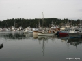 DSCN2717