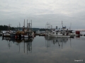 P1040791