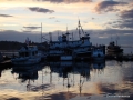 DSC02701.JPG