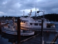 DSC02706.JPG