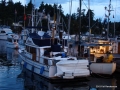 DSC02708.JPG