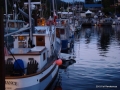 DSC02709.JPG